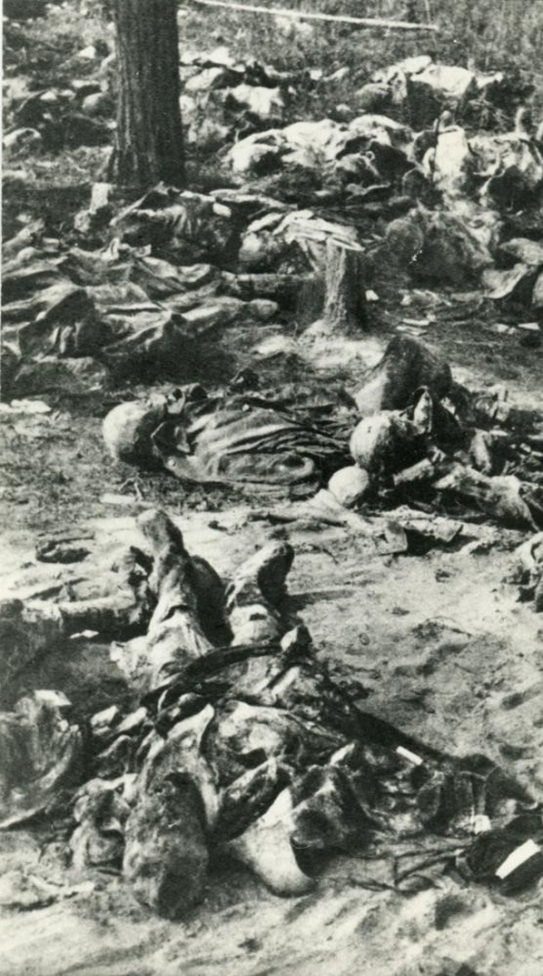 3 kwietnia 1940 r. NKWD rozpoczęło likwidację obozów dla polskich oficerów w Kozielsku, Starobielsku i Ostaszkowie