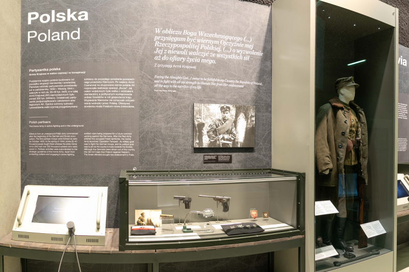 Polityczna i militarna działalność Armii Krajowej, Batalionów Chłopskich oraz Narodowych Sił Zbrojnych w czasie II wojny światowej 