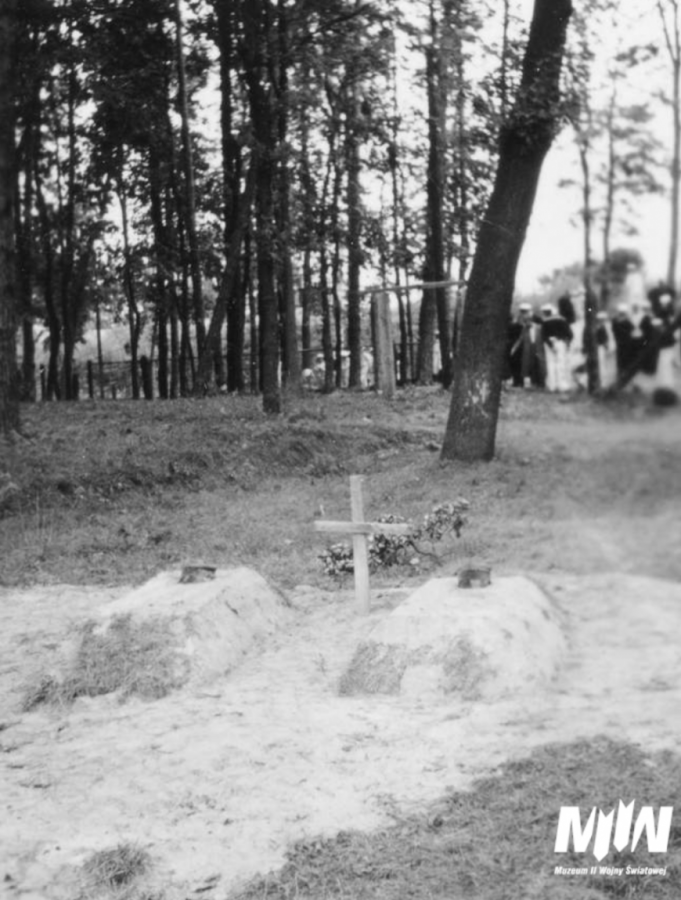 7 szkieletów ludzkich odnalezionych na terenie Wojskowej Składnicy Tranzytowej na Westerplatte 