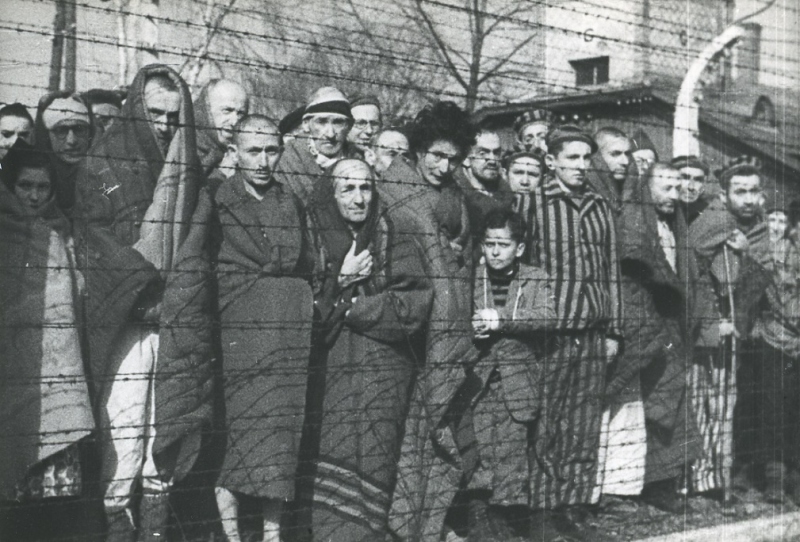 Wyzwolenie KL Auschwitz