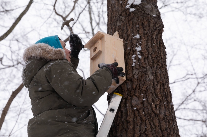 CHRONIMY PTAKI NA WESTERPLATTE