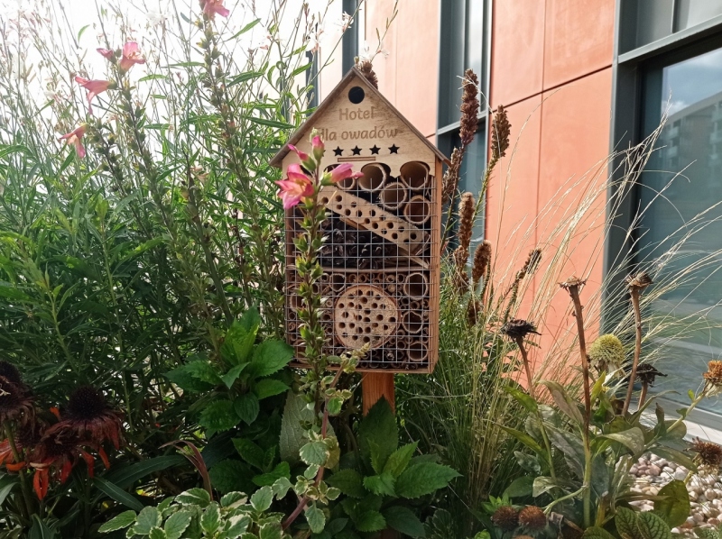 Zielone inicjatywy Muzeum II Wojny Światowej w Gdańsku. Instytucja kultury odpowiedzialna społecznie