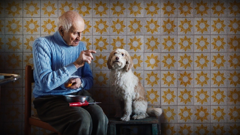 FILMOWY STYCZEŃ 2022 W KINIE MUZEUM