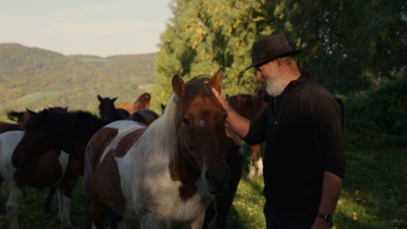 OPISY FILMÓW I ZWIASTUNY: WRZESIEŃ 2022