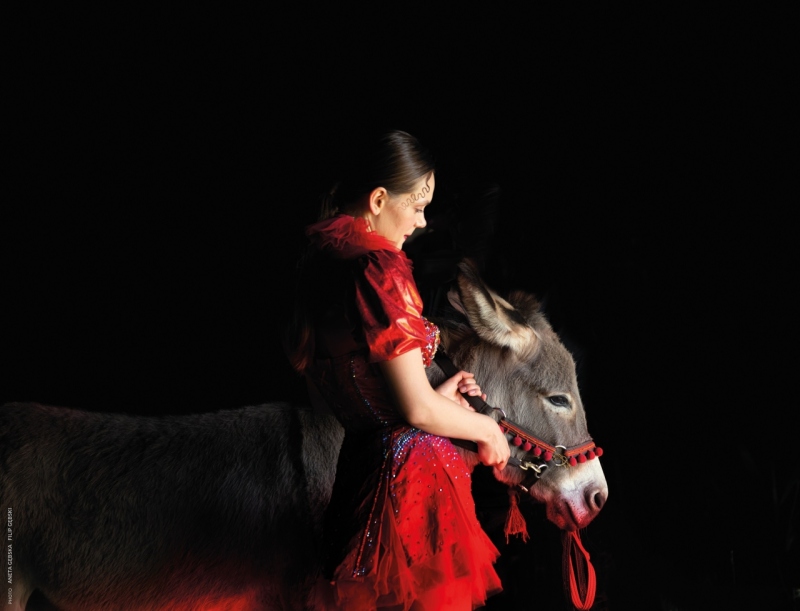 OPISY FILMÓW I ZWIASTUNY: PAŹDZIERNIK 2022