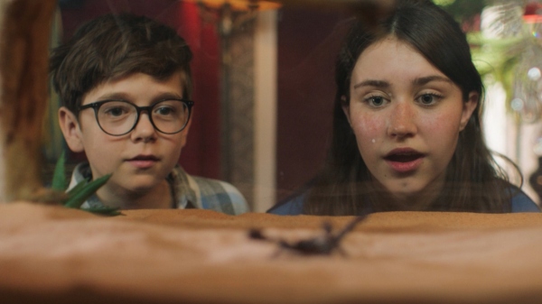 BIURO DETEKTYWISTYCZNE LASSEGO I MAI. TAJEMNICA SKORPIONA