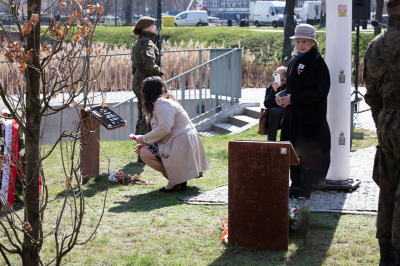 Dęby pamięci ofiar zbrodni katyńskiej posadzono przy Muzeum II Wojny Światowej w Gdańsku