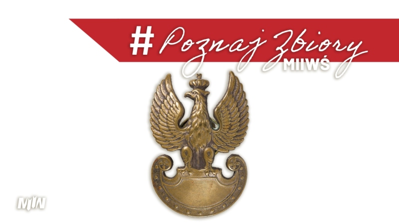 Cykl #PoznajZbioryMIIWŚ - Orzeł czapkowy wz. 39