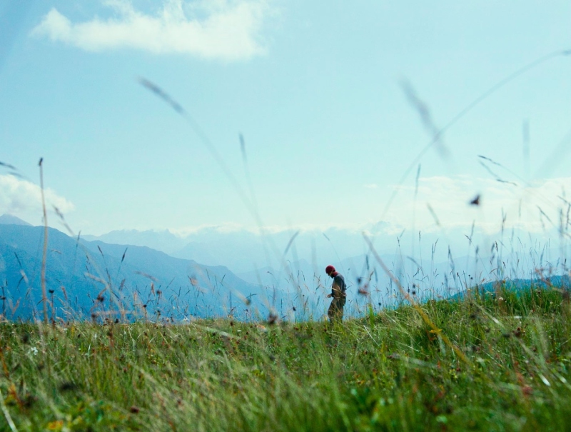 OPISY FILMÓW I ZWIASTUNY: CZERWIEC 2023