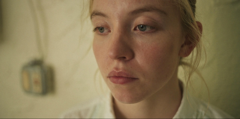 OPISY FILMÓW I ZWIASTUNY: WRZESIEŃ 2023