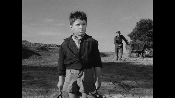 ŚWIADECTWO URODZENIA